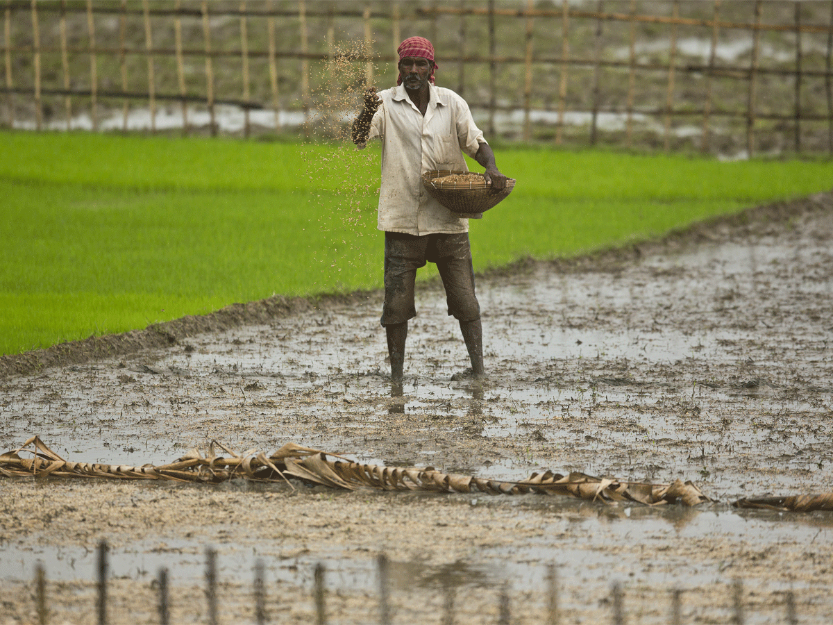 food waste: Indian startups seek high-tech solutions to colossal food waste - Latest News