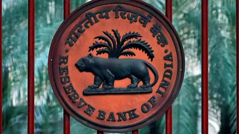 RBI allows offline digital payments to boost transactions in rural areas